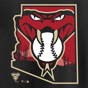 Arizona Diamondbacks Baja Hometown T-Shirt - Black MLB Guys Tee