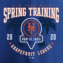 Load image into Gallery viewer, New York Mets 2020 Spring Training Pick Off Move T-Shirt – Royal MLB Guys Tee
