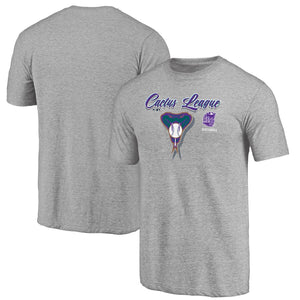 Arizona Diamondbacks 2020 Spring Training Mentor Tri-Blend T-Shirt – Gray MLB Guys Tee