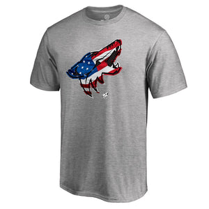 Arizona Coyotes Banner Wave T-Shirt - Ash NHL Guys Tee