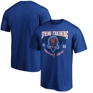 New York Mets 2020 Spring Training Pick Off Move T-Shirt – Royal MLB Guys Tee