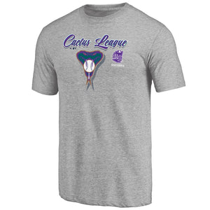 Arizona Diamondbacks 2020 Spring Training Mentor Tri-Blend T-Shirt – Gray MLB Guys Tee