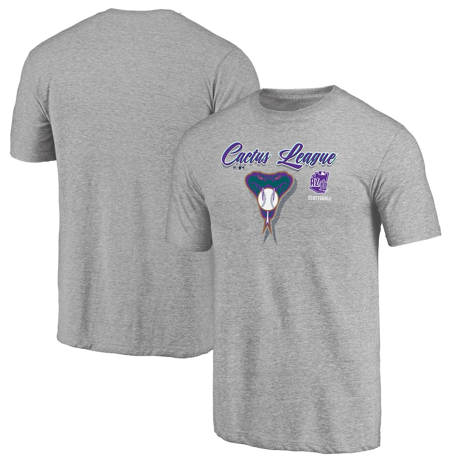 Arizona Diamondbacks 2020 Spring Training Mentor Tri-Blend T-Shirt – Gray MLB Guys Tee