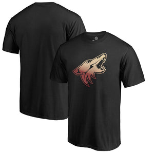 Arizona Coyotes Gradient Logo T-Shirt - Black NHL Guys Tee