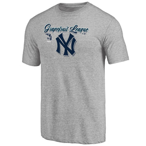 New York Yankees 2020 Spring Training Mentor Tri-Blend T-Shirt – Gray MLB Guys Tee