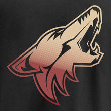 Load image into Gallery viewer, Arizona Coyotes Gradient Logo T-Shirt - Black NHL Guys Tee
