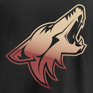 Arizona Coyotes Gradient Logo T-Shirt - Black NHL Guys Tee